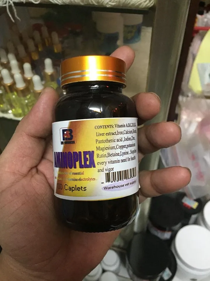 Vitamins Nuôi Cho Gà Đá Tăng Po Aminoplex Của FB - Chiết 100 Viên 