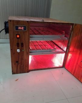 Máy Ấp Trứng Tự Động 100 Trứng Bằng Gỗ