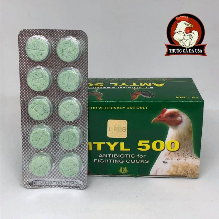 AMTYL 500 CHO GÀ ĐÁ - HỘP X 100 Viên