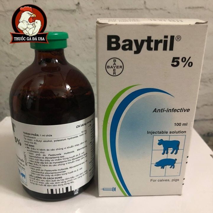 Baytril 5% Cho Pet Cưng - Chai 100ml 