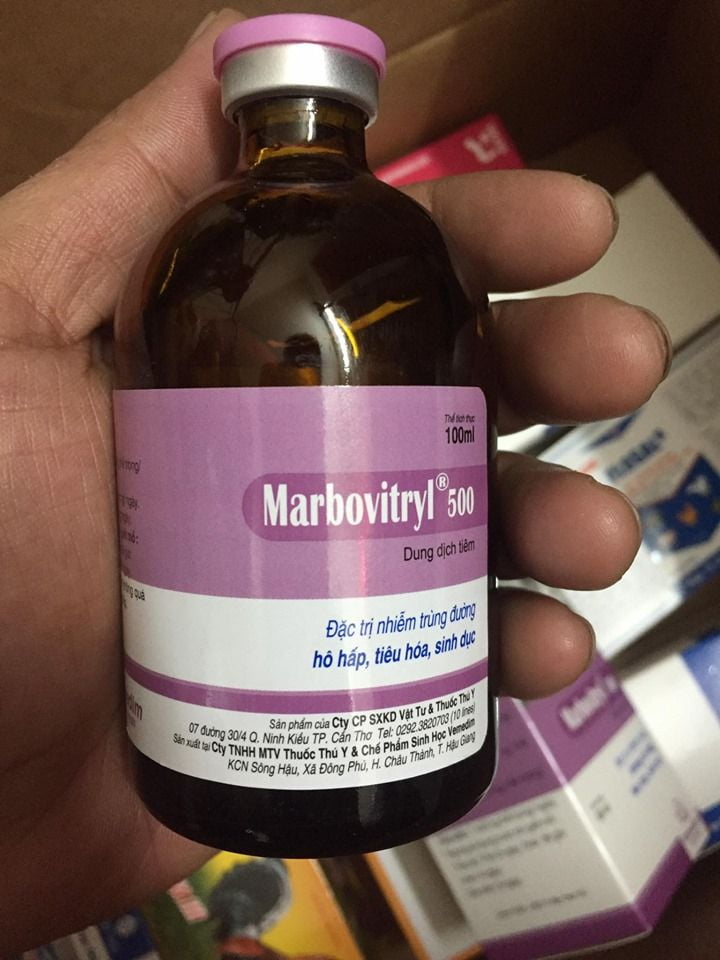 MARBOVITRYL 500 Chai 100ml