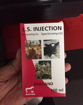 Kháng Sinh Cho Gà L.S Injection Chai 100ml - Hà Lan