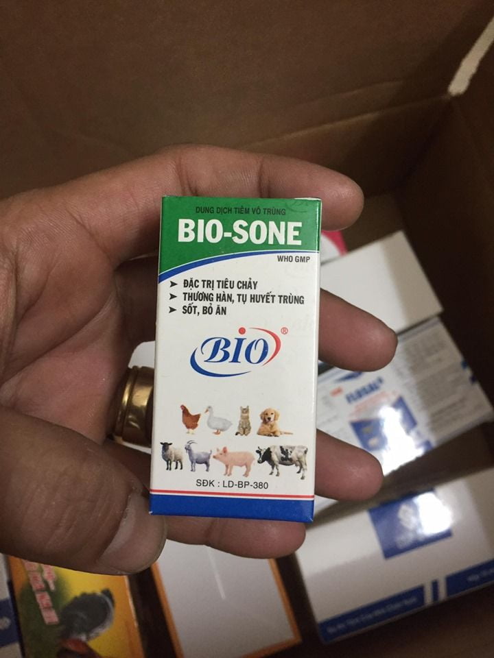 BIO SONE đặc trị PXPT cho gà đá 20ml